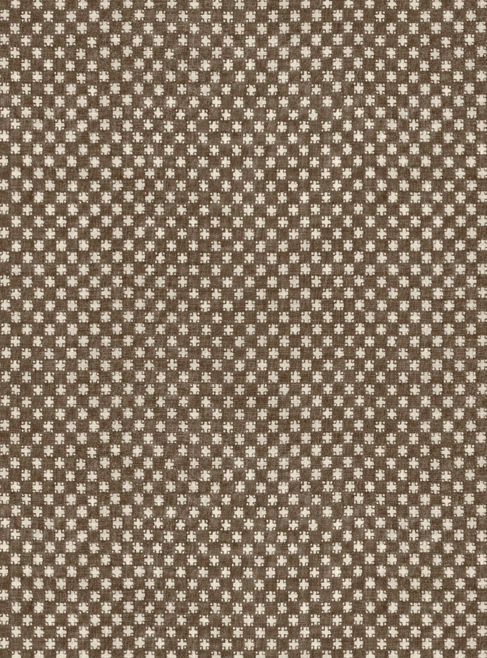Cocoa