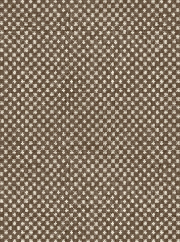 Cocoa
