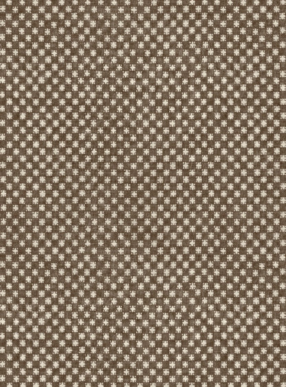 Cocoa