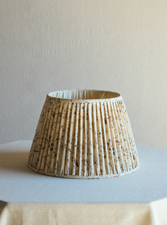 acorn